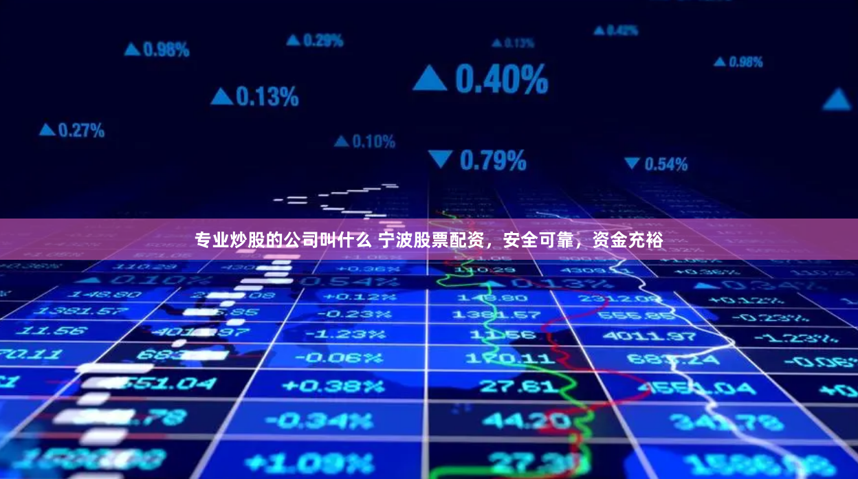 专业炒股的公司叫什么 宁波股票配资，安全可靠，资金充裕
