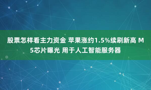 股票怎样看主力资金 苹果涨约1.5%续刷新高 M5芯片曝光 用于人工智能服务器