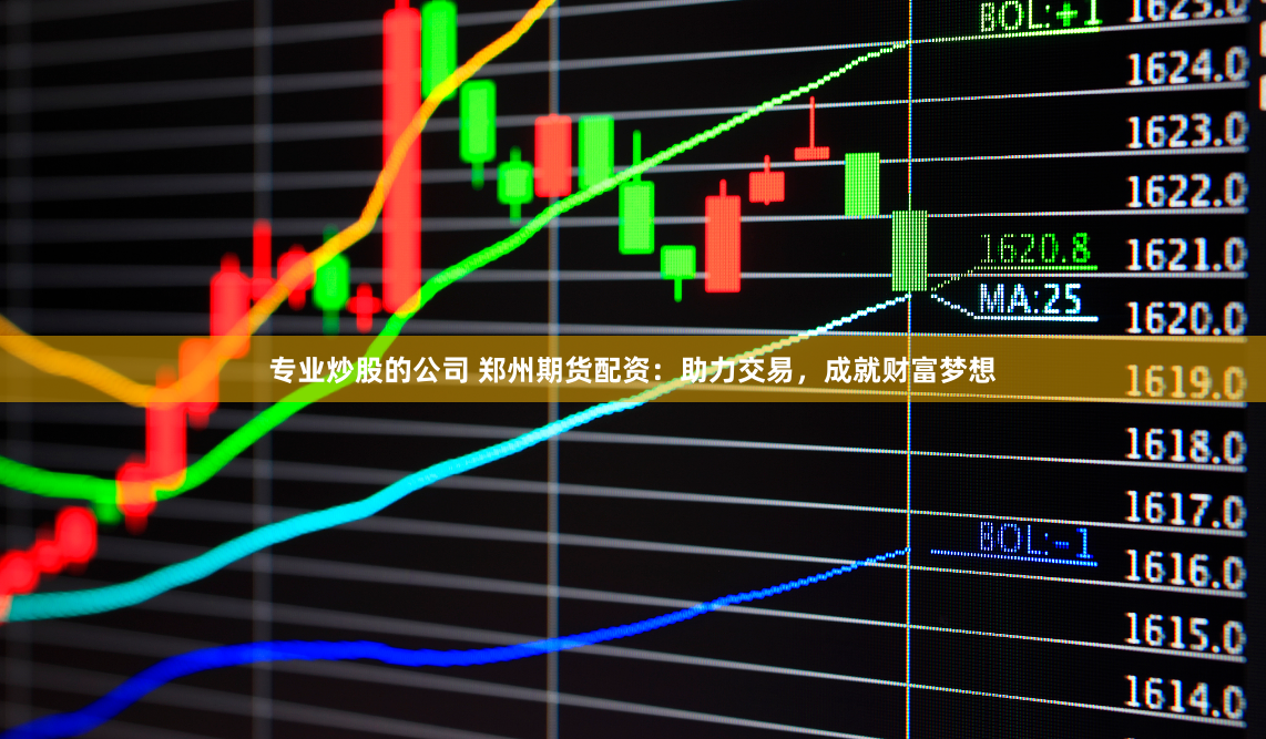 专业炒股的公司 郑州期货配资：助力交易，成就财富梦想
