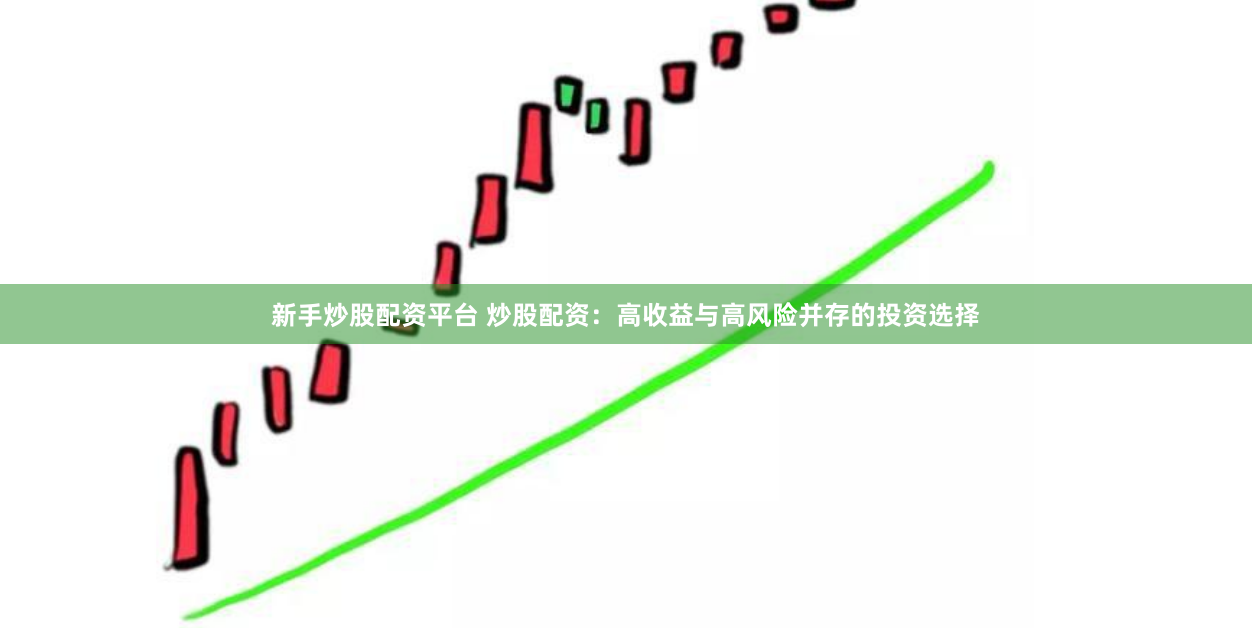 新手炒股配资平台 炒股配资:高收益与高风险并存的投资选择
