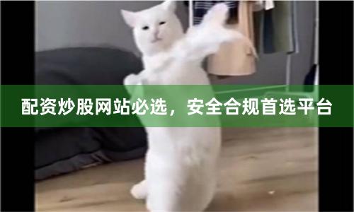 配资炒股网站必选，安全合规首选平台