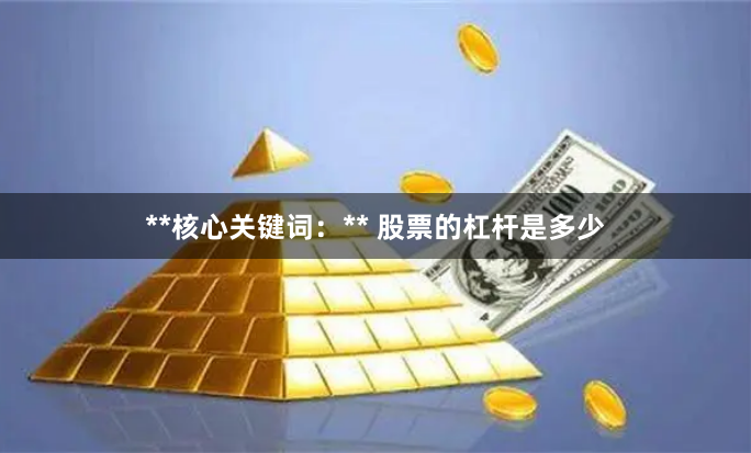 **核心关键词：** 股票的杠杆是多少